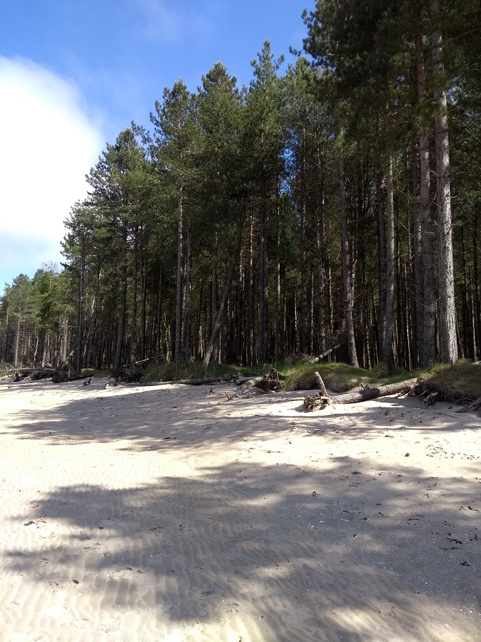tentsmuir2