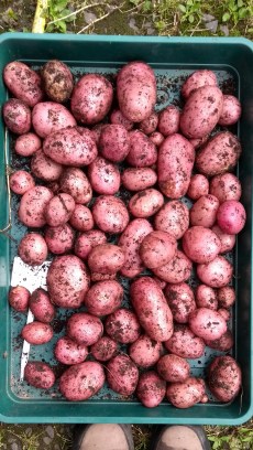 IMG-20190819-WA0003 (2)