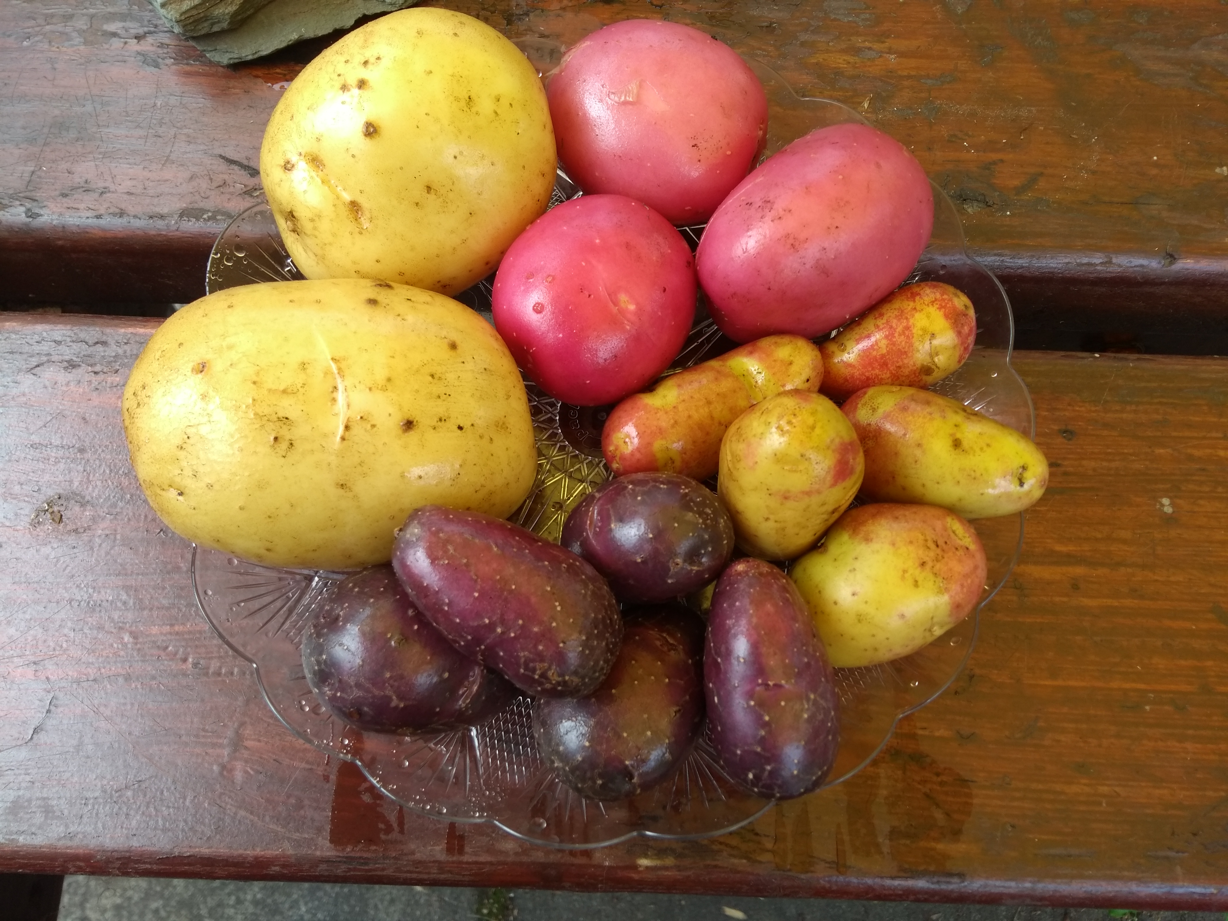 IMG_20190819_134228596