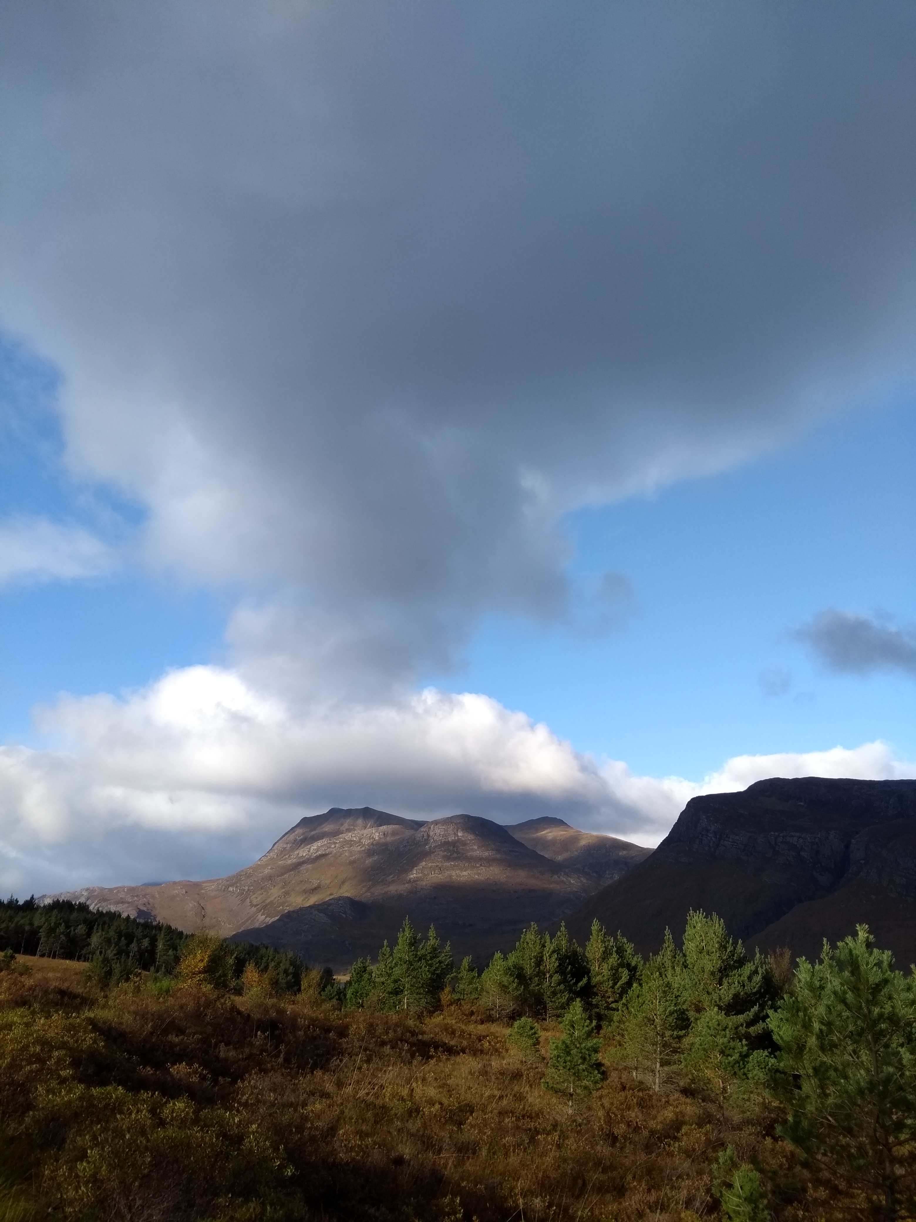 IMG_20191020_151639342