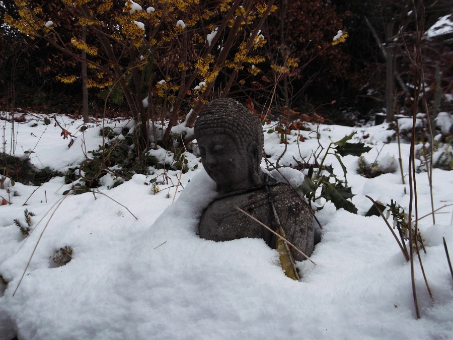 snowbuddha1