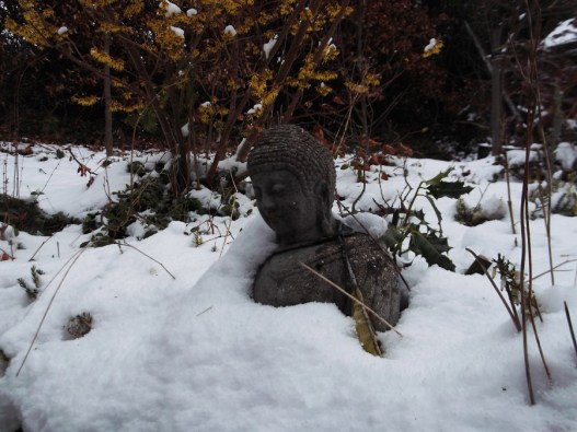 snowbuddha1