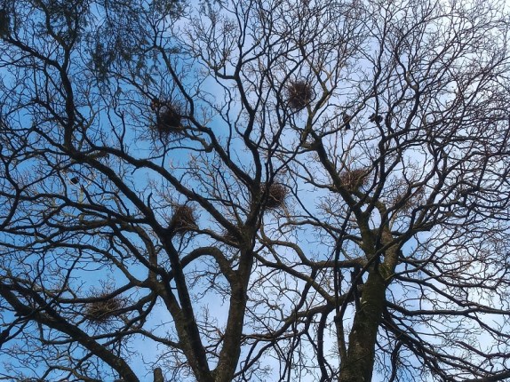 IMG_20200319_095953182