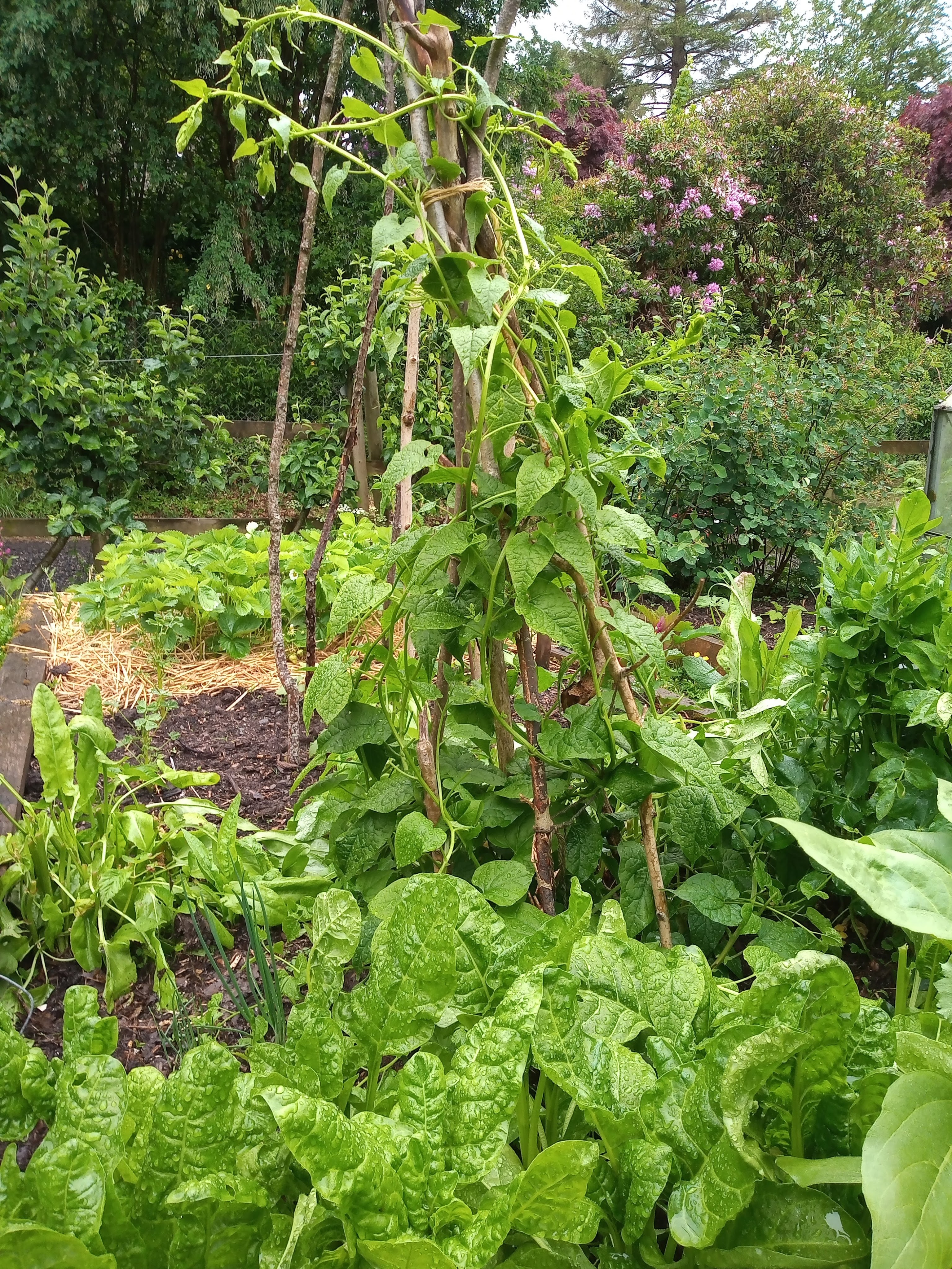 img_20200610_152256283