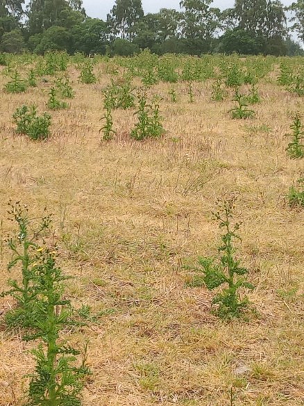 img_20200616_102737004